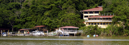 The station on Barro Colorado Island where the researchers studied tropical forests.: Photograph courtesy of STRI